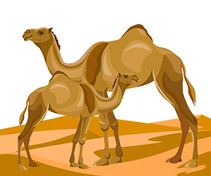 your-image-description