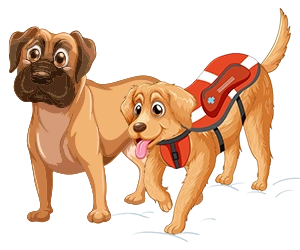 Dog Insurance