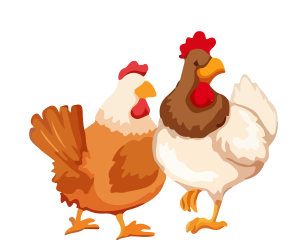 Poultry_Insurance