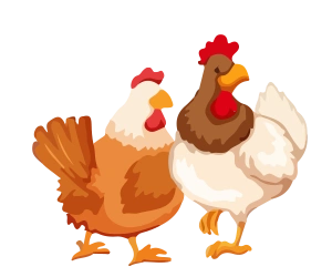 Poultry_Insurance
