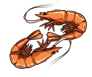 brakish-water-prawn-insurance