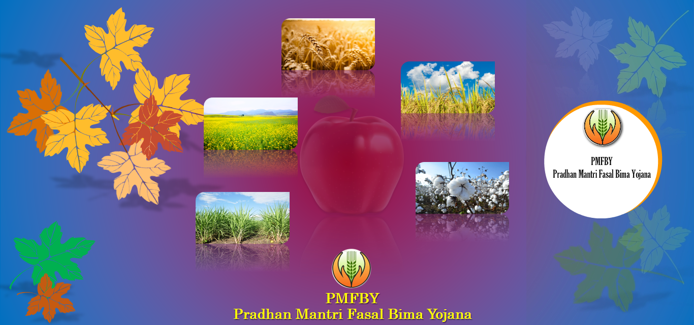 PMPBY logo